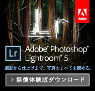 無償体験版ダウンロード