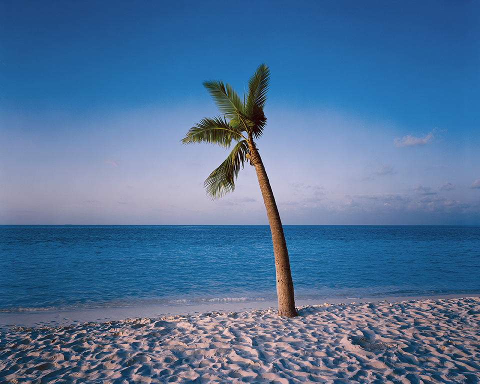 東京カメラ部2015写真展ニコンイメージングジャパントークショーイベント「楽園 ～三好和義が語る“魅せる”写真の秘密～」三好和義