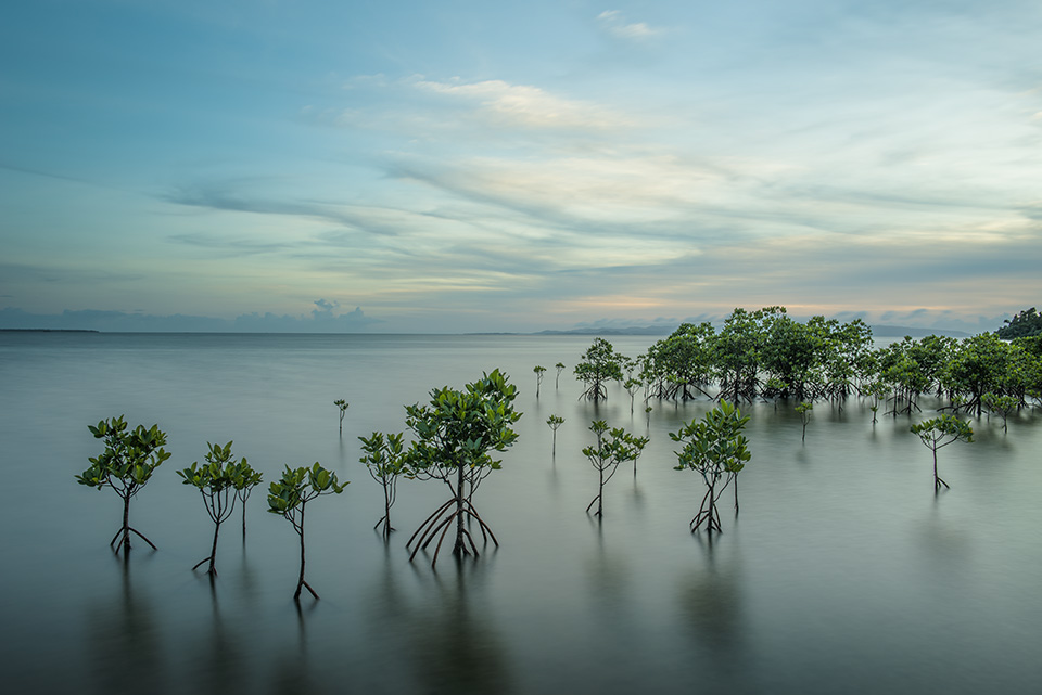 東京カメラ部2015写真展ニコンイメージングジャパントークショーイベント「楽園 ～三好和義が語る“魅せる”写真の秘密～」三好和義