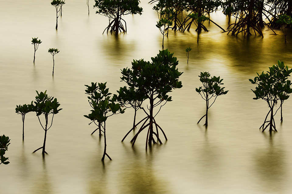 東京カメラ部2015写真展ニコンイメージングジャパントークショーイベント「楽園 ～三好和義が語る“魅せる”写真の秘密～」三好和義