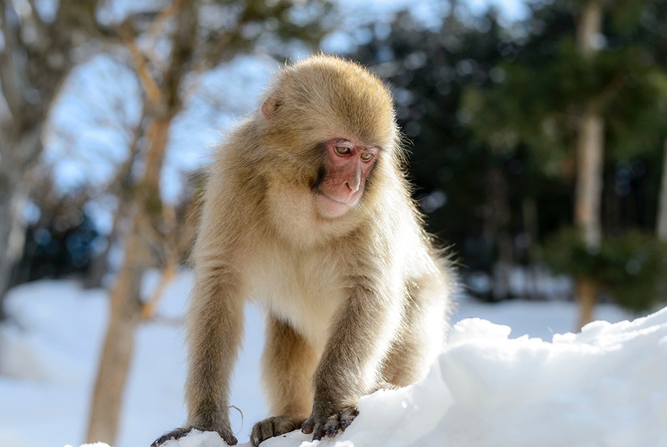 東京カメラ部2015写真展ニコンイメージングジャパントークショーイベント 東京カメラ部10選　菊池英俊×Jason Arney×別所隆弘
