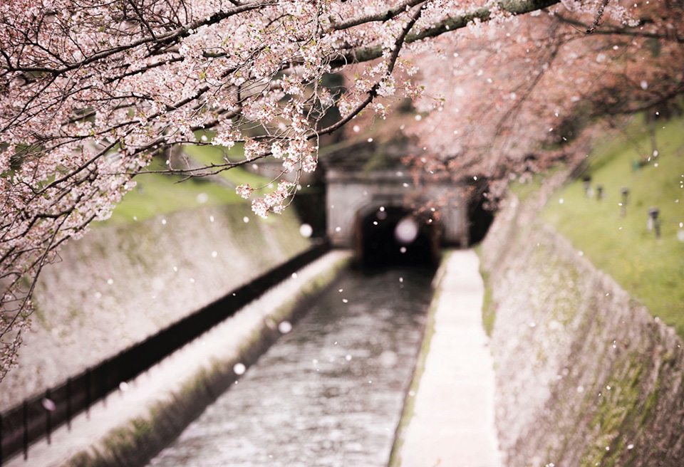 東京カメラ部2015写真展ニコンイメージングジャパントークショーイベント 東京カメラ部10選　菊池英俊×Jason Arney×別所隆弘