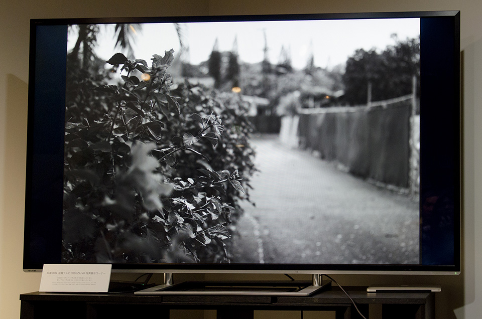 東京カメラ部2015写真展シグマトークショーイベント「dp Quattro 4兄弟　どれを持つのが幸せになれるか？」塙真一