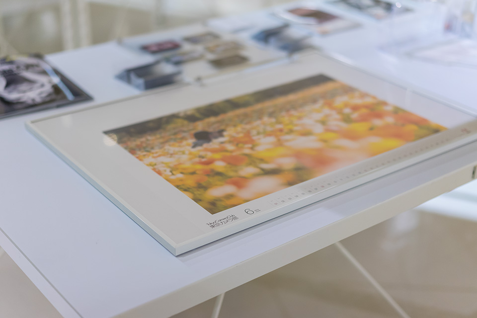 写真展の様子：東京カメラ部2015写真展