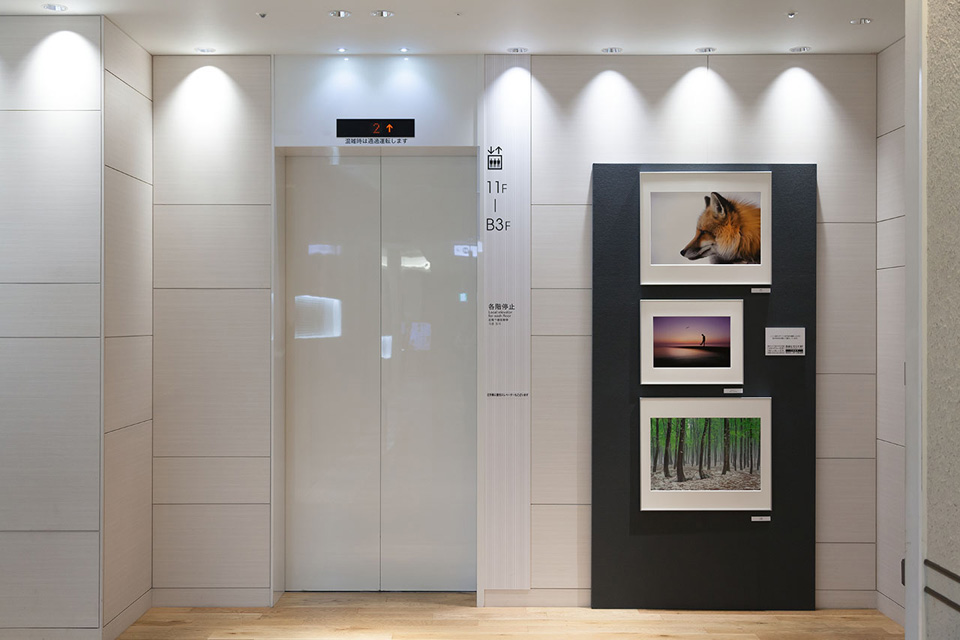 写真展の様子：東京カメラ部2015写真展