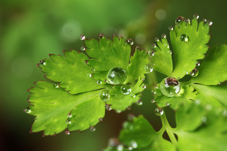 東京カメラ部10選 柄木孝志、工藤悦子、八木千賀子 × EOS 80Dパンフレットチャレンジ「スペシャルトーク」