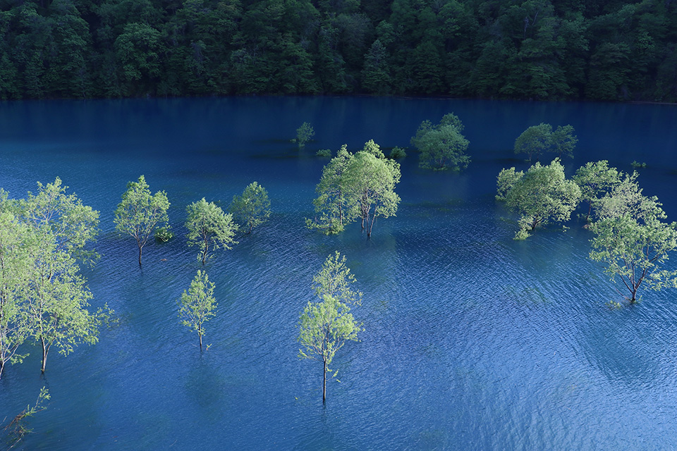 東京カメラ部10選 柄木孝志、工藤悦子、八木千賀子 × EOS 80Dパンフレットチャレンジ「スペシャルトーク」