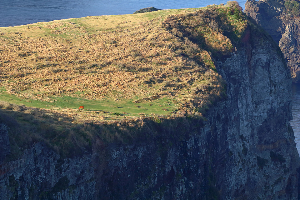 東京カメラ部10選 柄木孝志、工藤悦子、八木千賀子 × EOS 80Dパンフレットチャレンジ「スペシャルトーク」
