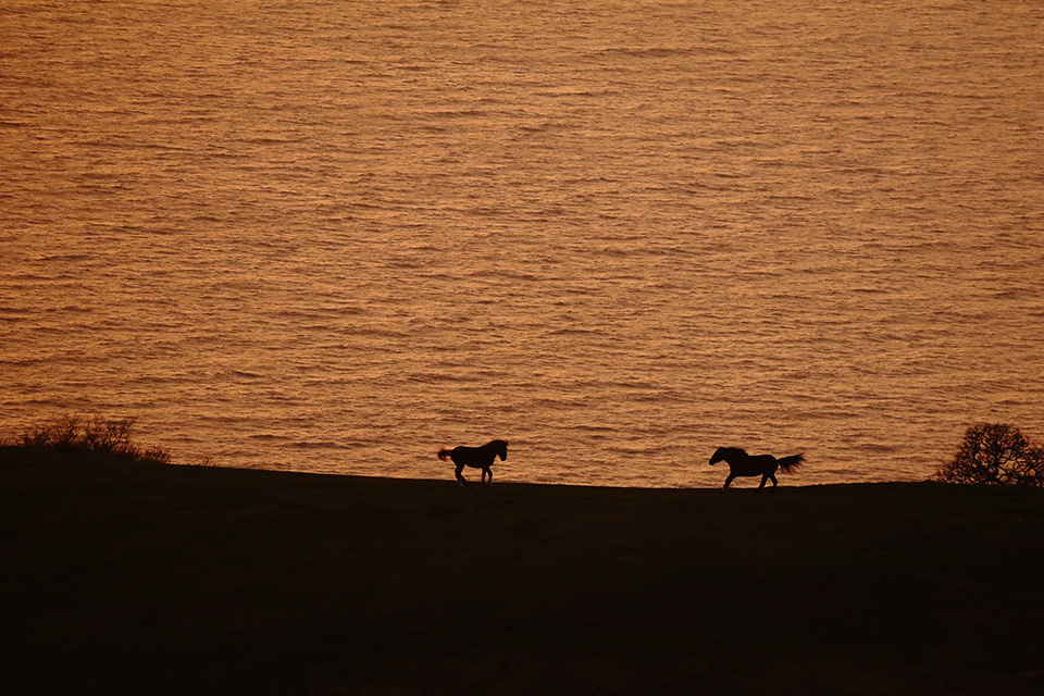 東京カメラ部10選 柄木孝志、工藤悦子、八木千賀子 × EOS 80Dパンフレットチャレンジ「スペシャルトーク」