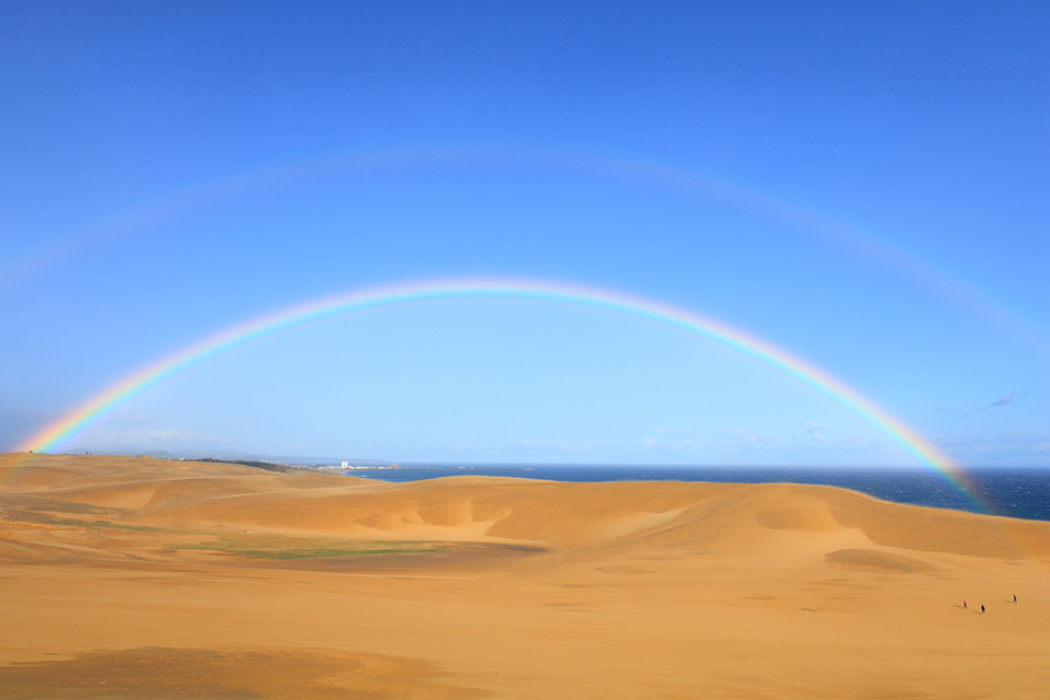 東京カメラ部10選 柄木孝志、工藤悦子、八木千賀子 × EOS 80Dパンフレットチャレンジ「スペシャルトーク」