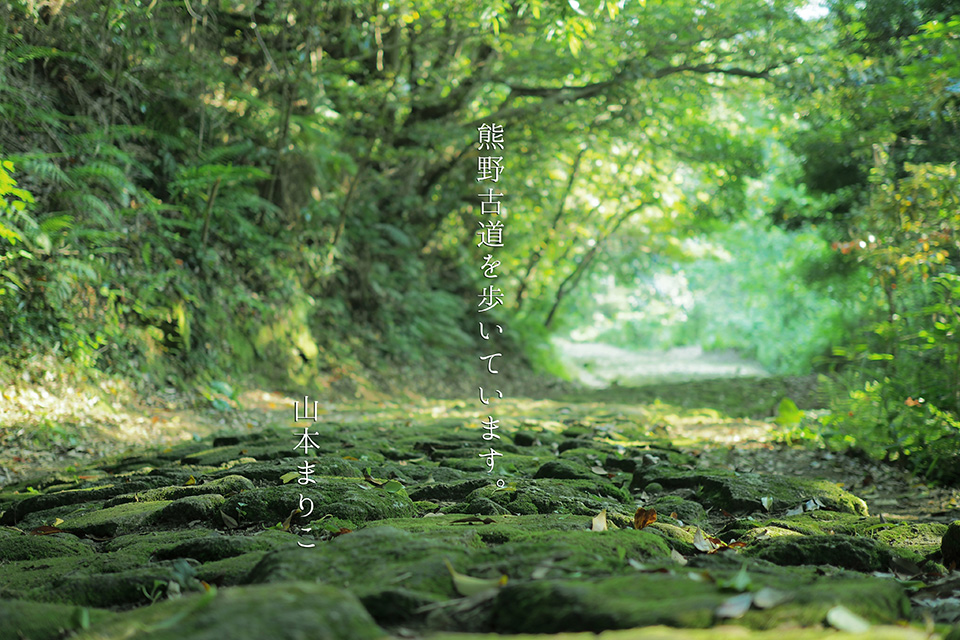 山本まりこ「OLYMPUS PEN-Fで作品作り　～エアリーカラーのつくり方『熊野古道を歩いています・中辺路』～」