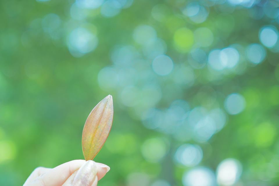 山本まりこ「OLYMPUS PEN-Fで作品作り　～エアリーカラーのつくり方『熊野古道を歩いています・中辺路』～」