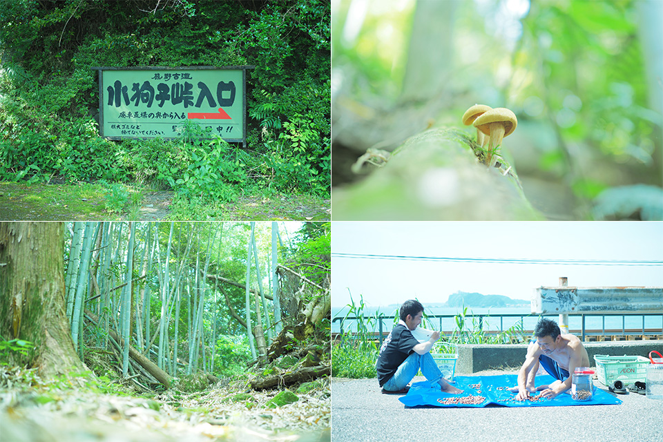 山本まりこ「OLYMPUS PEN-Fで作品作り　～エアリーカラーのつくり方『熊野古道を歩いています・中辺路』～」