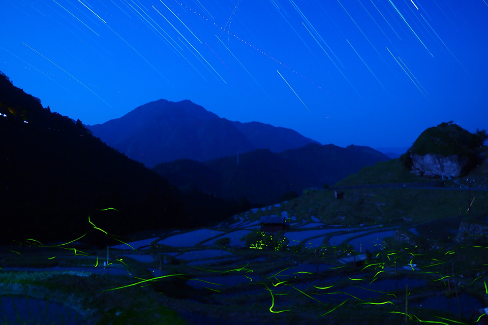 山本まりこ「OLYMPUS PEN-Fで作品作り　～エアリーカラーのつくり方『熊野古道を歩いています・中辺路』～」