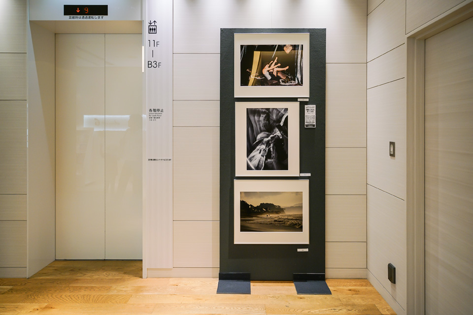 写真展の様子：東京カメラ部2015写真展