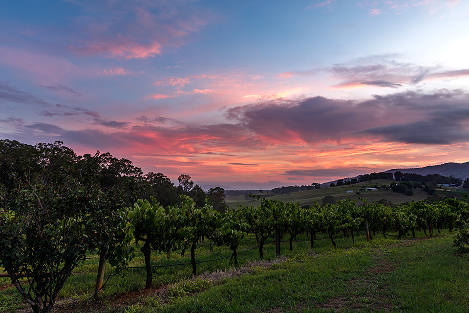 アメリカン・エキスプレス 東京カメラ部10選 浅岡省一氏、八木千賀子氏 「東京カメラ部10選がみた世界 by アメリカン・エキスプレス」