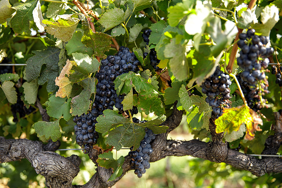 アメリカン・エキスプレス 東京カメラ部10選 浅岡省一氏、八木千賀子氏 「東京カメラ部10選がみた世界 by アメリカン・エキスプレス」