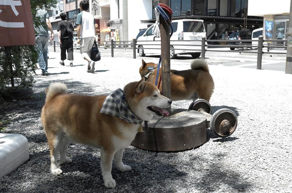 アサヒカメラ 編集長 佐々木広人 × 東京カメラ部運営「いま撮影者が気になる疑問に答える～著作権と審査～」