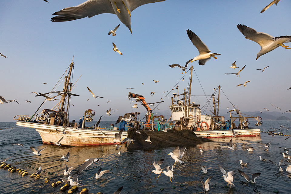 キヤノンマーケティングジャパン　東京カメラ部10選 柄木孝志「EOS 5D Mark IVで撮る日本の美しい村」