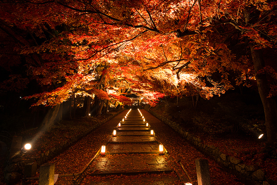 東京カメラ部10選 黒田明臣、別所隆弘「10選によるポートレート、風景現像講座」