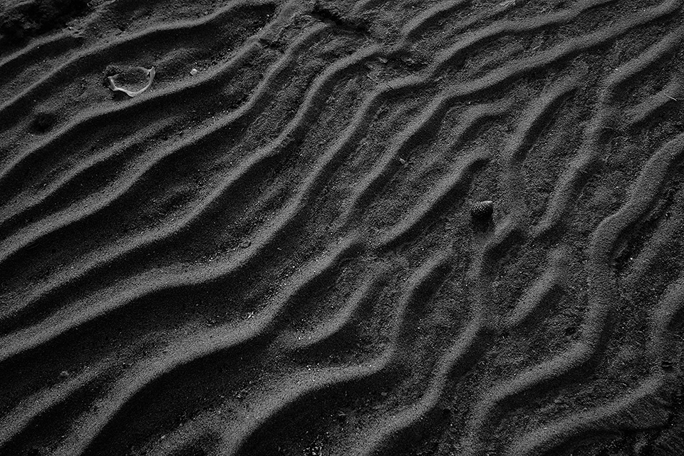 富士フイルム 東京カメラ部10選 原 朋士氏、和-KAZU-氏 × 富士フイルム 岡田昌幸氏、東京カメラ部運営「東京カメラ部10選が語るXシリーズの魅力」