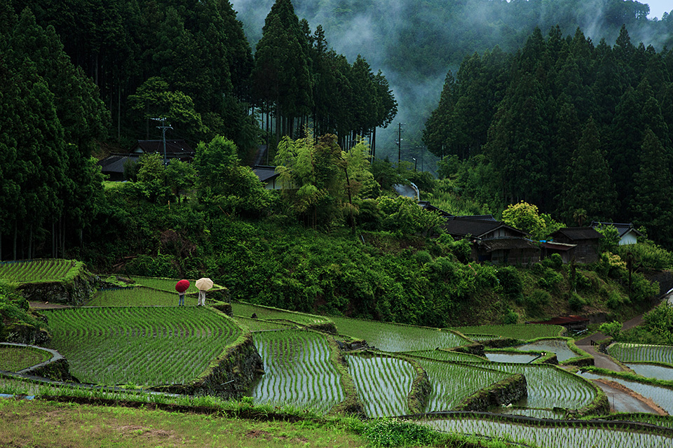 東京カメラ部10選 浅岡省一、Kyon.J、八木進、八木千賀子 × 東京カメラ部運営 他「個展を開催するということ」