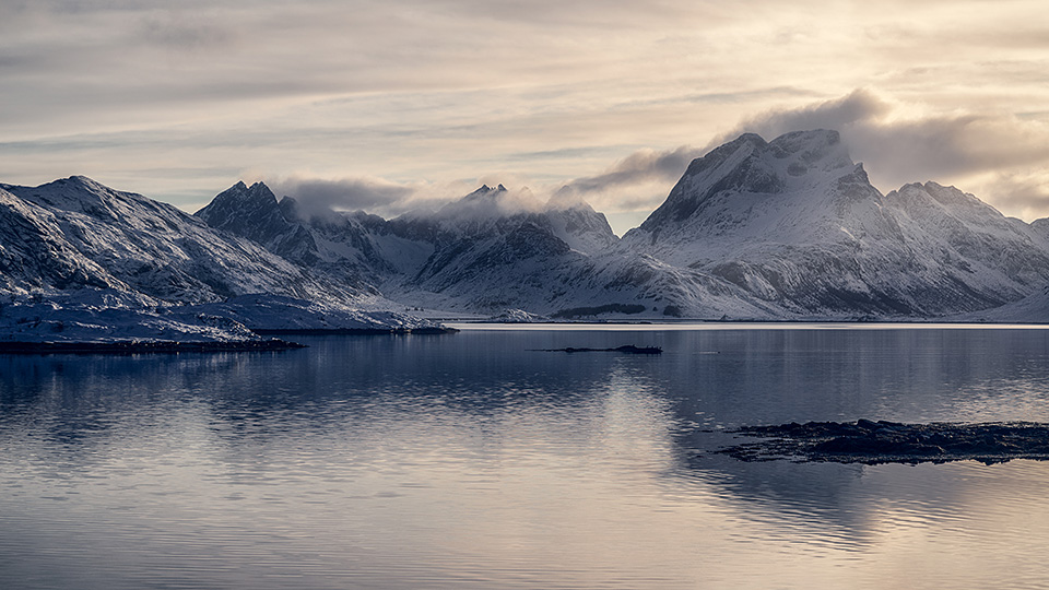 東京カメラ部10選 浅岡省一、Kyon.J、八木進、八木千賀子 × 東京カメラ部運営 他「個展を開催するということ」