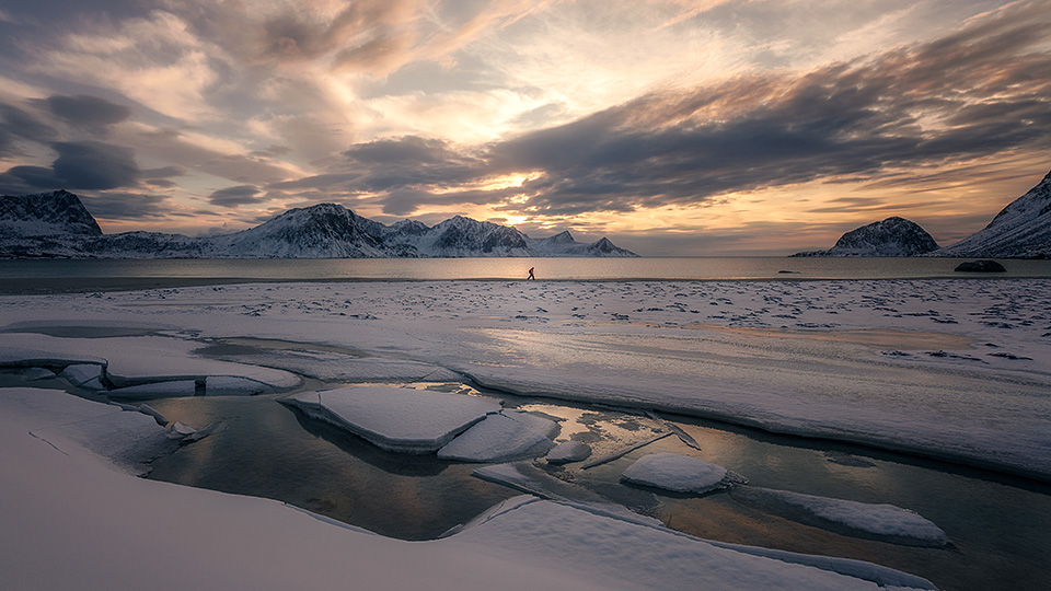 東京カメラ部10選 浅岡省一、Kyon.J、八木進、八木千賀子 × 東京カメラ部運営 他「個展を開催するということ」
