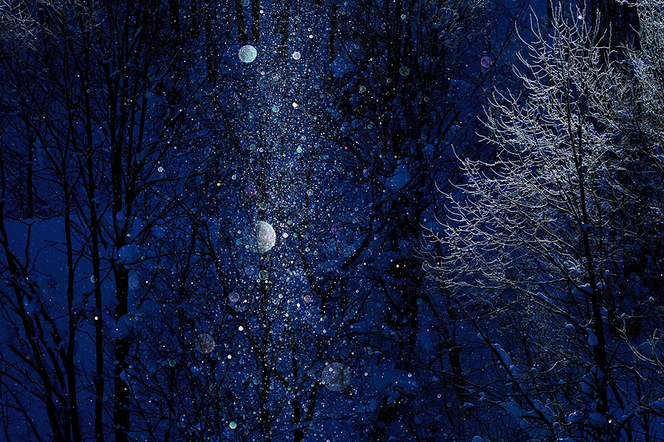 日経ナショナル ジオグラフィック社 出版ディレクター 尾崎憲和氏 × 東京カメラ部10選 浅岡省一氏、Kyon.J氏、 八木千賀子氏 × 東京カメラ部運営「人生を変えた写真」