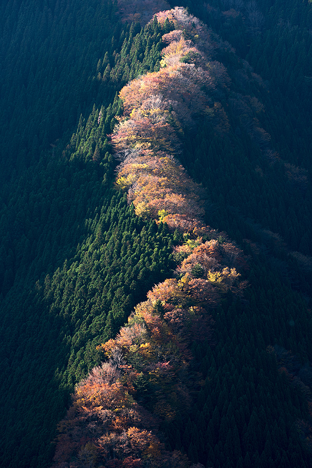 ニコンイメージングジャパントークショー 東京カメラ部10選 福田悟氏、別所隆弘氏「NIKKORレンズで表現した世界」