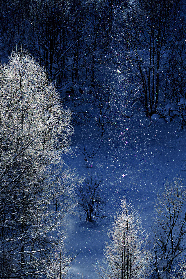 ソニーマーケティング　東京カメラ部10選 井上浩輝氏「αが捉えた北海道の自然」