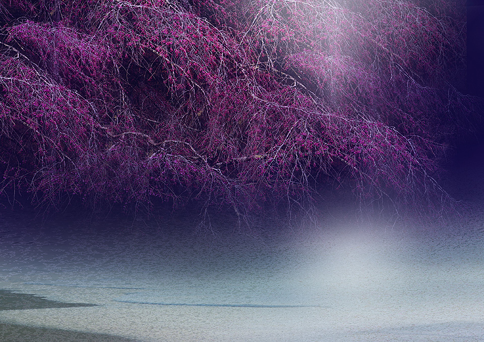 東京カメラ部10選 長岩典子氏 × コンテスト入賞者 荒畑恵子氏、中田久美子氏 × 東京カメラ部運営「カメラが広げる私の世界」