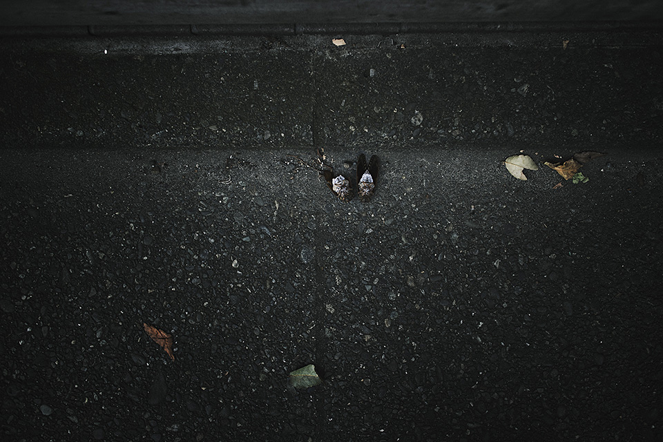 カメラマン 山岸伸氏 × 東京カメラ部10選 伊藤公一、宇賀地尚子、鈴木悠介「写真表現の可能性」