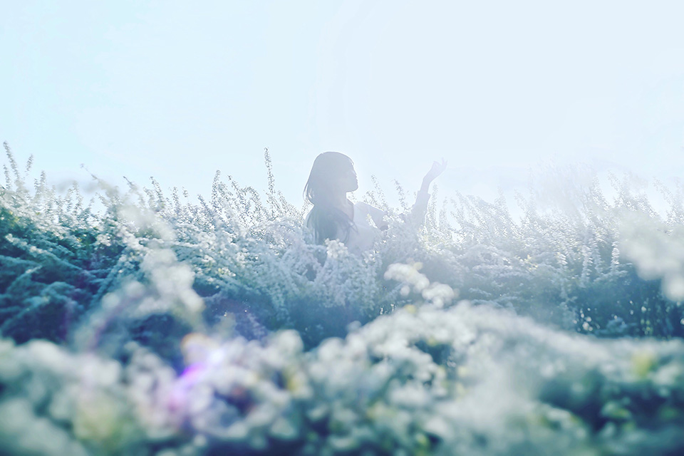 カメラマン 山岸伸氏 × 東京カメラ部10選 伊藤公一、宇賀地尚子、鈴木悠介「写真表現の可能性」