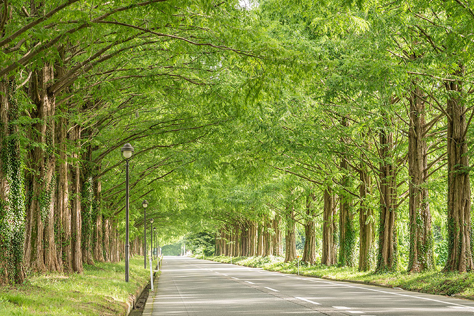 東京カメラ部10選 別所隆弘氏「翼を得たカメラ：ドローンが見せる新しい写真の世界」