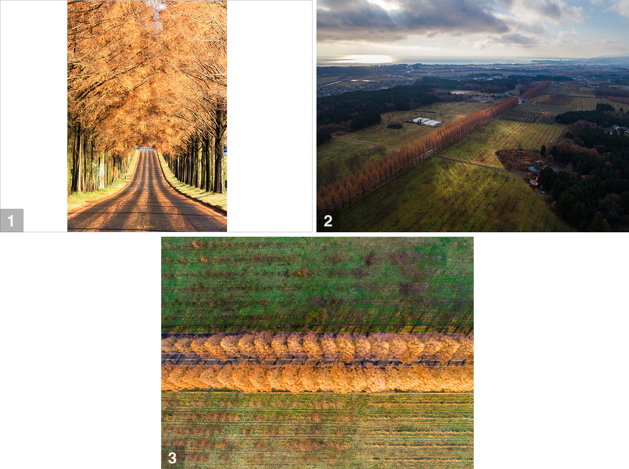 東京カメラ部10選 別所隆弘氏「翼を得たカメラ：ドローンが見せる新しい写真の世界」