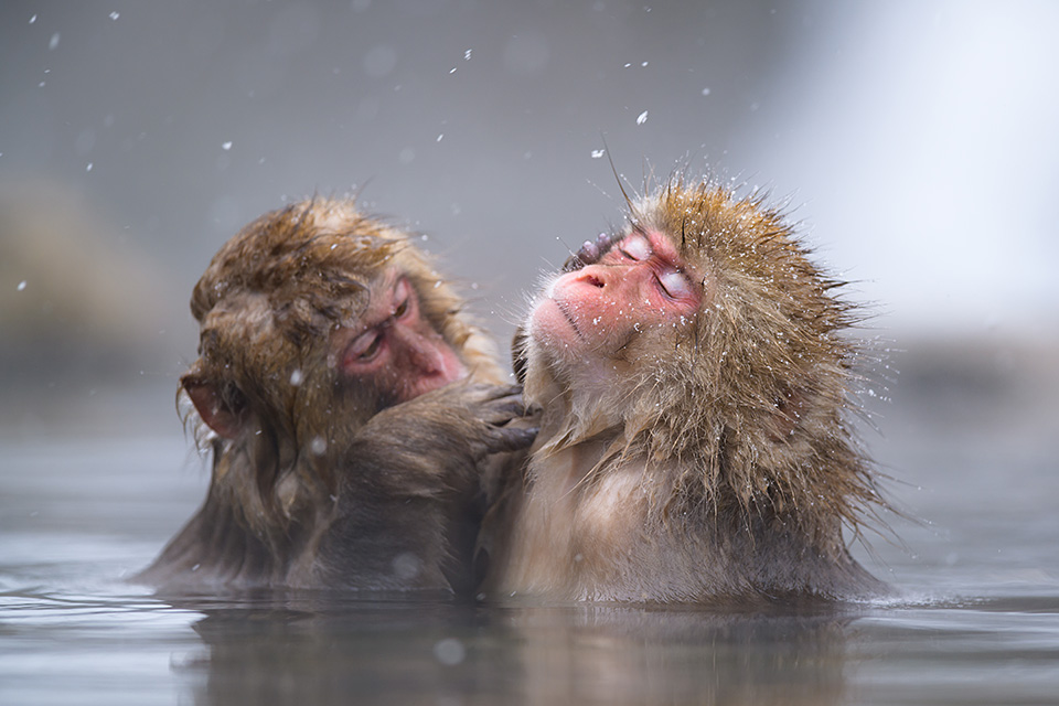 環境省国立公園課国立公園利用推進室 谷垣佐智子氏 × 東京カメラ部10選 柄木孝志氏、松岡こみゅ氏 × 東京カメラ部運営「日本の自然を『守り、伝える』」