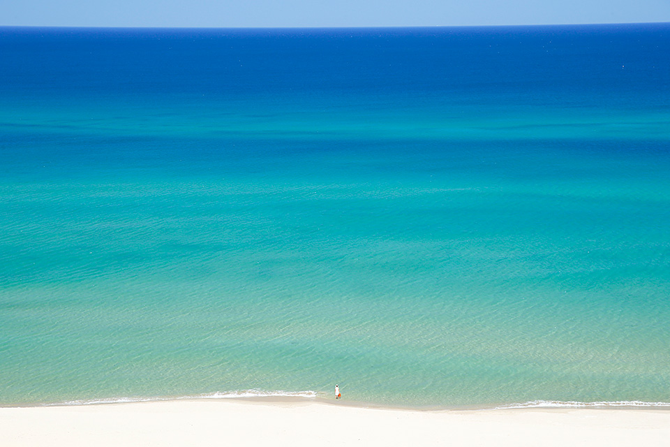 環境省国立公園課国立公園利用推進室 谷垣佐智子氏 × 東京カメラ部10選 柄木孝志氏、松岡こみゅ氏 × 東京カメラ部運営「日本の自然を『守り、伝える』」