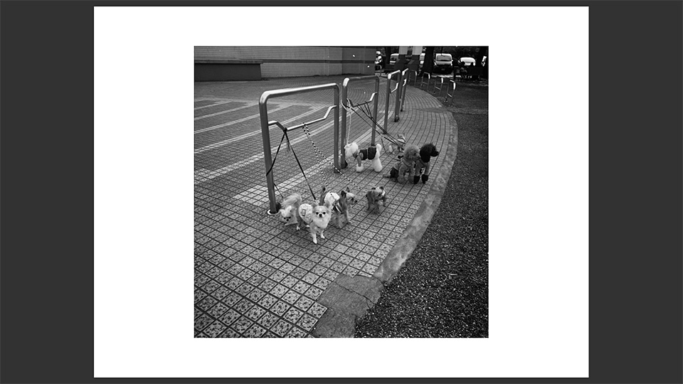 東京カメラ部特別企画 写真家 立木義浩氏 × アートディレクター 町口景氏「モノクローム」