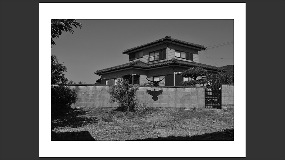 東京カメラ部特別企画 写真家 立木義浩氏 × アートディレクター 町口景氏「モノクローム」