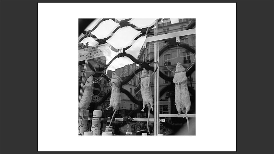 東京カメラ部特別企画 写真家 立木義浩氏 × アートディレクター 町口景氏「モノクローム」