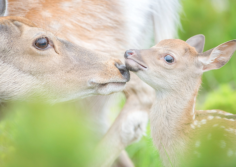 東京カメラ部10選 半田菜摘氏、別所隆弘氏「NIKKORレンズから覗く世界の光」