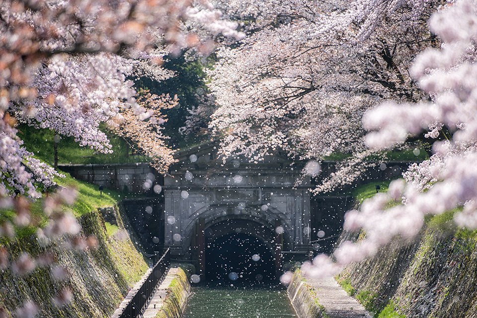 東京カメラ部10選 半田菜摘氏、別所隆弘氏「NIKKORレンズから覗く世界の光」