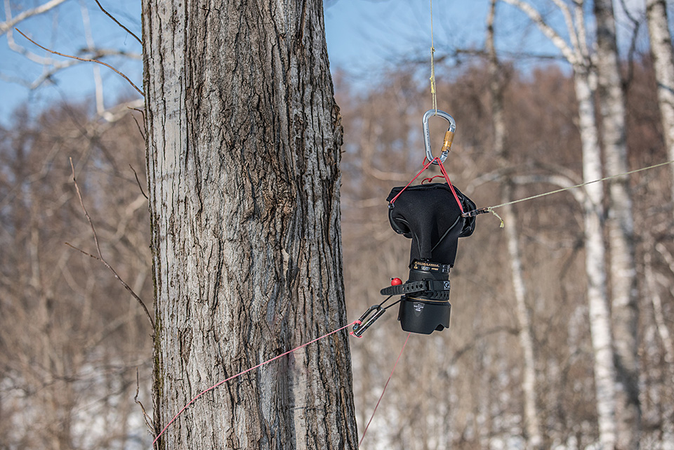 東京カメラ部10選 半田菜摘氏、別所隆弘氏「NIKKORレンズから覗く世界の光」