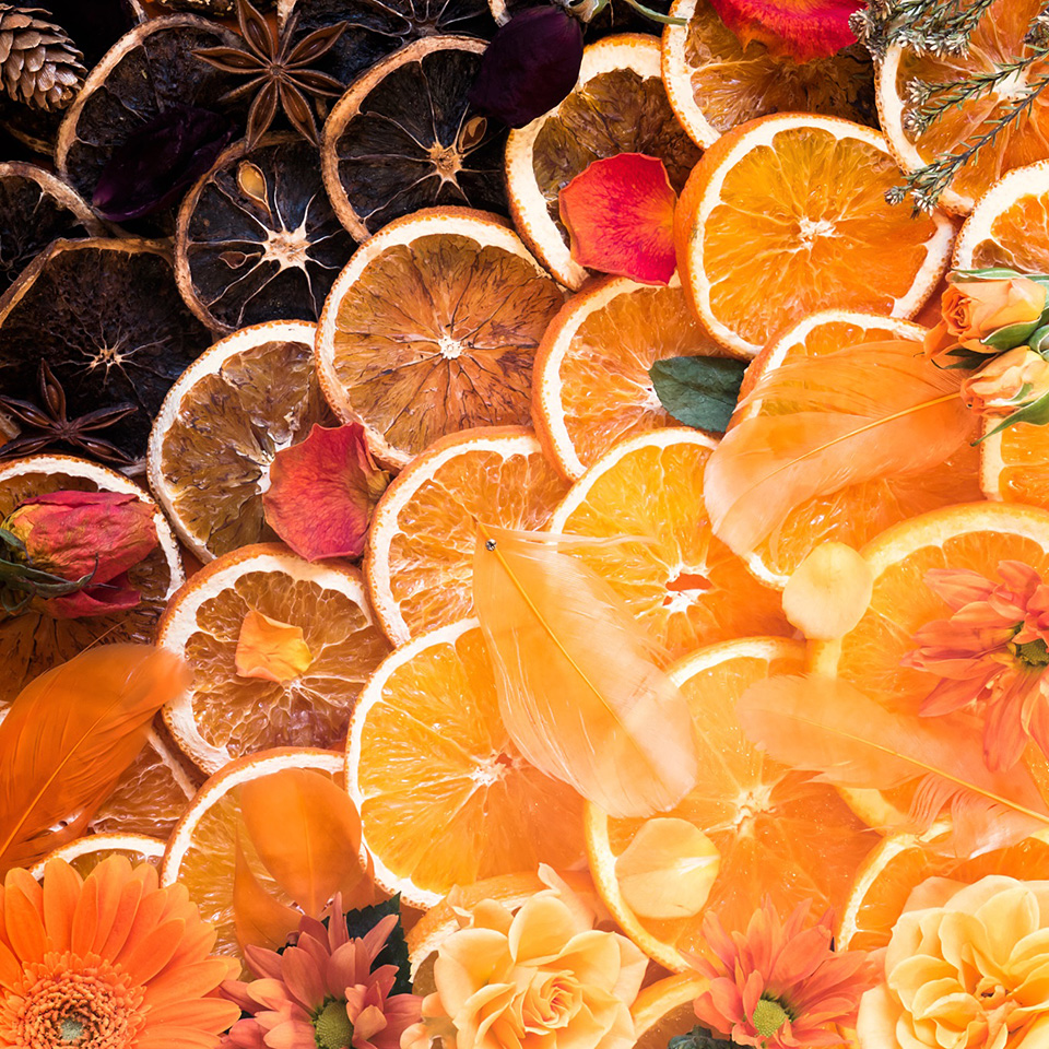 東京カメラ部10選 千田智康氏、中田久美子氏「ほんとうのオリンパスを未だ知らない人たちへ　ースナップ編ー」