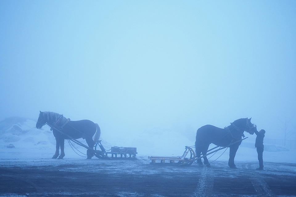 カメラマン 山岸伸氏 × 写真家 佐藤倫子氏 × 東京カメラ部10選 小林修士氏、小林海太郎氏、Mastodon部門 清田大介氏 × 東京カメラ部運営　オリンパス特別協賛ステージ「写真表現の可能性」