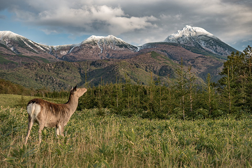 東京カメラ部10選 鈴木悠介氏、半田菜摘氏 × ソニーイメージングプロダクツ＆ソリューションズ 神保秀人氏