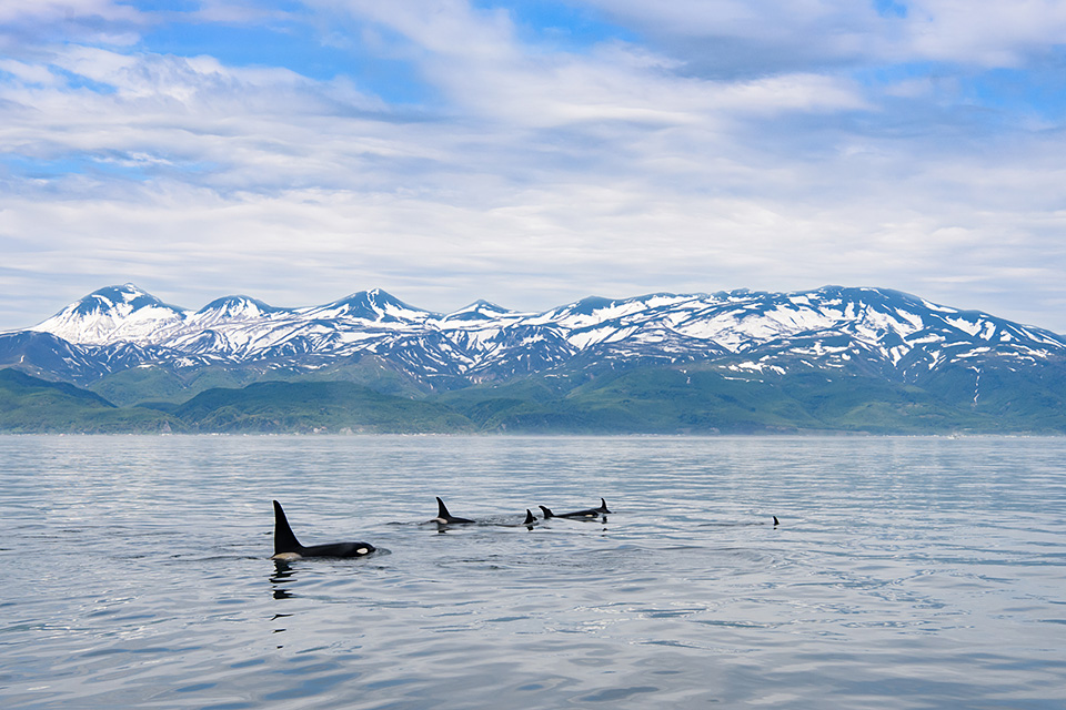 東京カメラ部10選 鈴木悠介氏、半田菜摘氏 × ソニーイメージングプロダクツ＆ソリューションズ 神保秀人氏