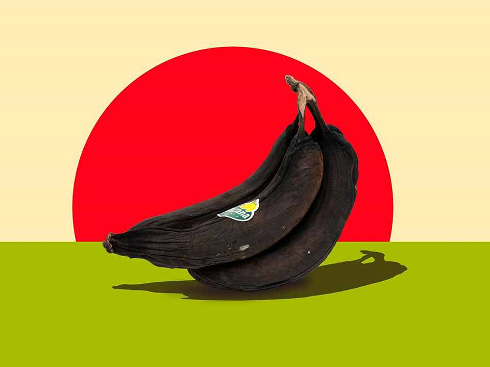 東京カメラ部10選 鈴木悠介氏、半田菜摘氏 × ソニーイメージングプロダクツ＆ソリューションズ 神保秀人氏