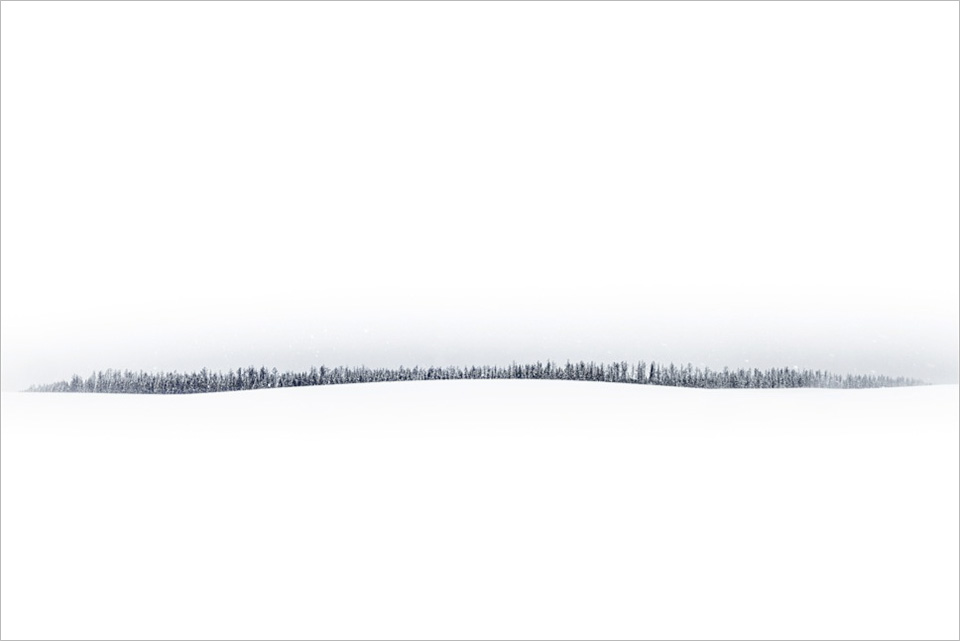 東京カメラ部10選 井上浩輝氏 × 東芝メモリ「頼れる相棒 “EXCERIA PRO”」